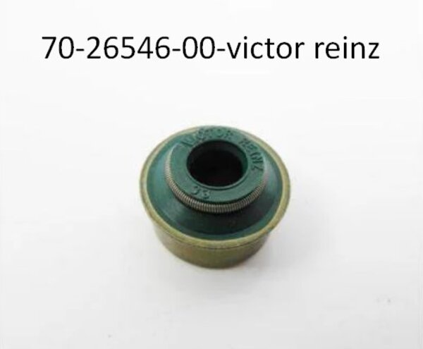 сальник клапана ЗАЗ Віда: 【купити 70-26546-00-Victor Reinz